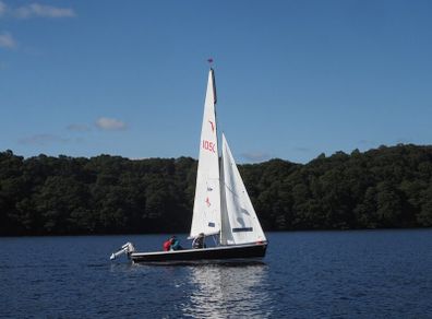 Wayfarer MK4 Sail No. 10509