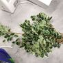 Large fake plant Image 3
