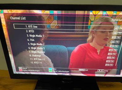 Walker 22'' Ultra-Slim Full HD LED TV - Saorview