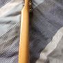 Warmoth Tele Image 7