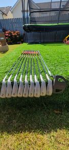 Hippo irons plus putter