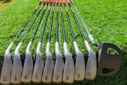 Hippo irons plus putter