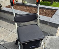 Mobility Walker