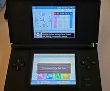 Black Nintendo DS lite
