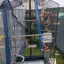 Bird cage and stand Image 4