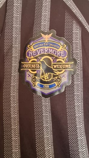 Wednesday Addams Nevermore Costumes