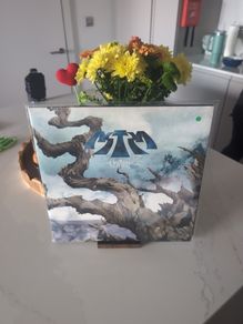 Astra - The Weirding (2xLP, Album)