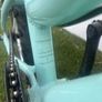 Ridgeback melody Image 2