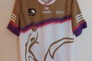lgfa 50th anniversary gaa jersey