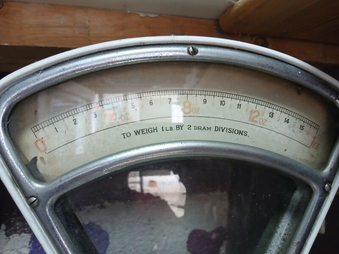 scale