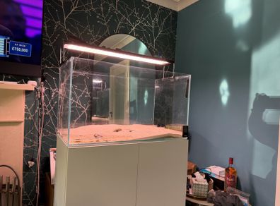 Aquaium