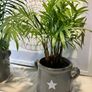 Grey Ceramic Vase with Star Motif and Handles (new) Image 2