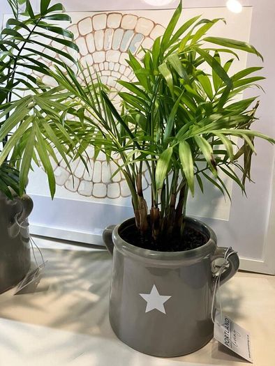 Grey Ceramic Vase with Star Motif and Handles (new)