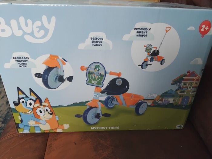bluey kids trike