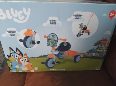bluey kids trike