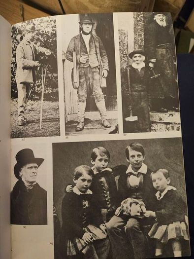 The Irish Face. By National Library Of Ireland. First Edition 1967 Paperback In Good Condition.  See Photos For Same.