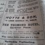 the irish nation papper Image 2