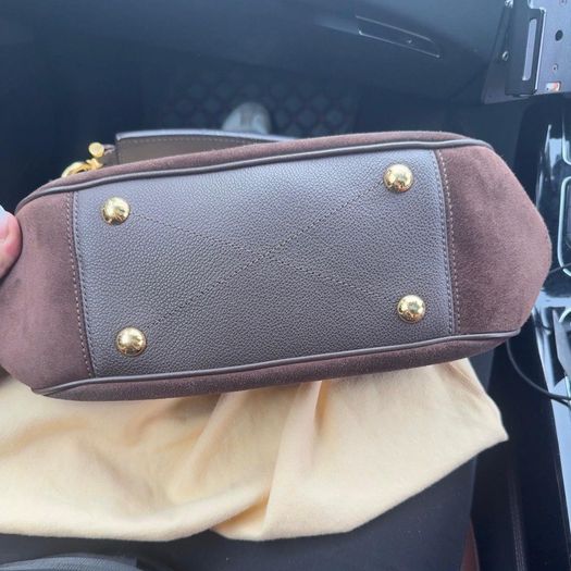louis  vuitton bag