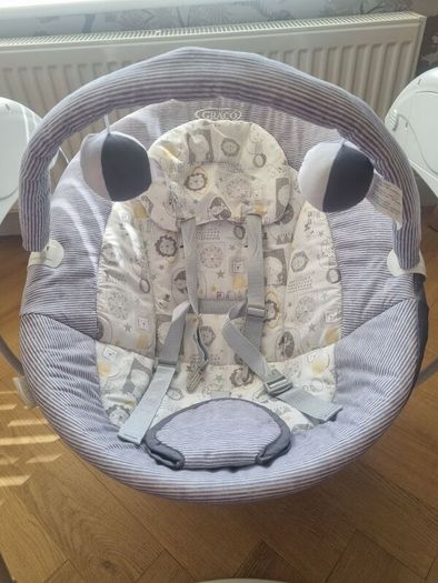Graco Baby Swing
