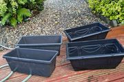 Four Window Boxes