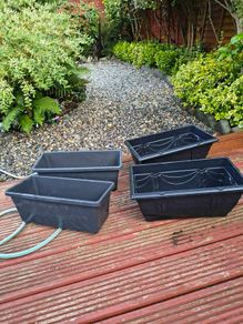 Four Window Boxes