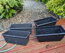 Four Window Boxes
