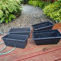 Four Window Boxes