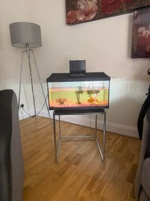 Fish Tank