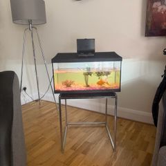 Fish Tank