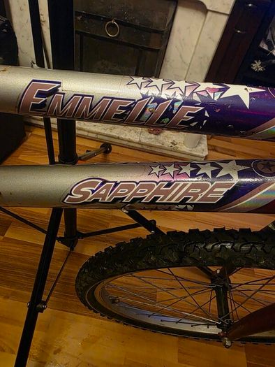 Emmelle Saphire 12 Speed Girls Mountain Bike