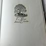 Ruskin And Venice.  By Robert Hewison. Hardback With Dustjacket In Good Condition.  See Photos For Same. Image 8