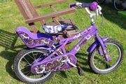 Sweet 16 bike