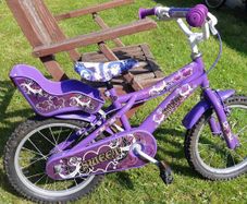 Sweet 16 bike