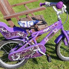 Sweet 16 bike