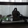 Fish tank 54 litres Image 4