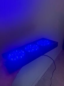 reef tank light