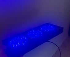 reef tank light