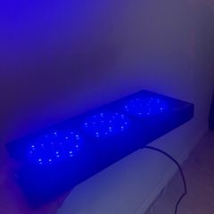 reef tank light