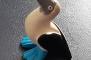 Small Seabird Figure