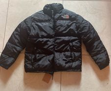 The north face 700 puffer jacket