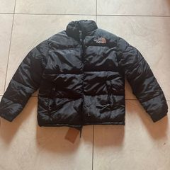 The north face 700 puffer jacket