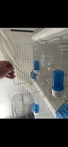 bird cages