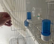 bird cages