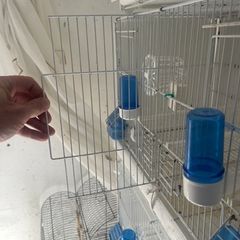 bird cages