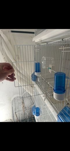 bird cages