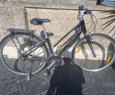 bike giant needs fixing