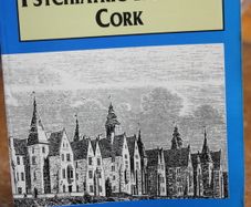 Our Lady's Psychiatric Hospital, Cork