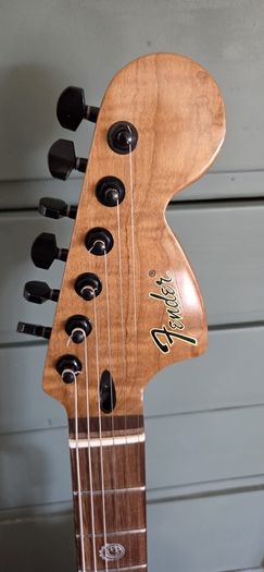 Custom built Fender Tom DeLonge starcaster