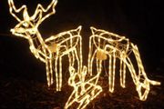 LED Rope Light Reindeer Family Warm White  Indoor and Outdoor Christmas Lights