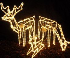 LED Rope Light Reindeer Family Warm White  Indoor and Outdoor Christmas Lights